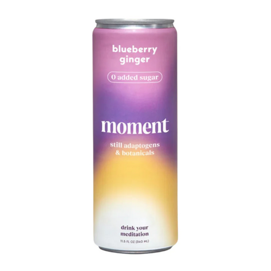 Moment - Blueberry Ginger Botanical Water (4 pack)